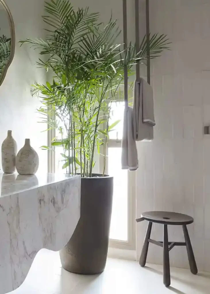 estilo-de-vida-vaso-de-planta-dentro-do-banheiro