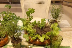 Centro-de-mesa-composto-por-ervas-aromaticas-e-hortalicas-cultivadas-em-recipientes-de-madeira-sobre-mesa-posta-em-estilo-botanico