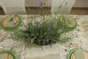 Lavanda-utilizada-como-centro-de-mesa-natural-em-composicao-inspirada-nos-jardins-da-Provence.